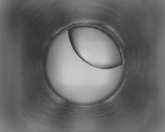 X0000070161017200605260933