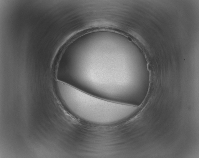 X0000070161022200605260933