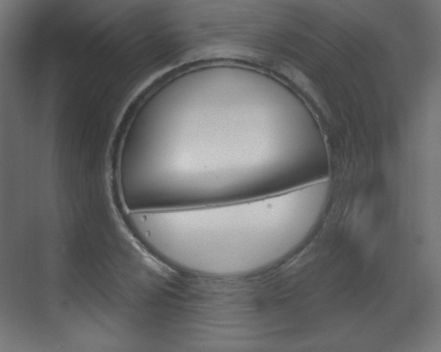 X0000070161024200605260933
