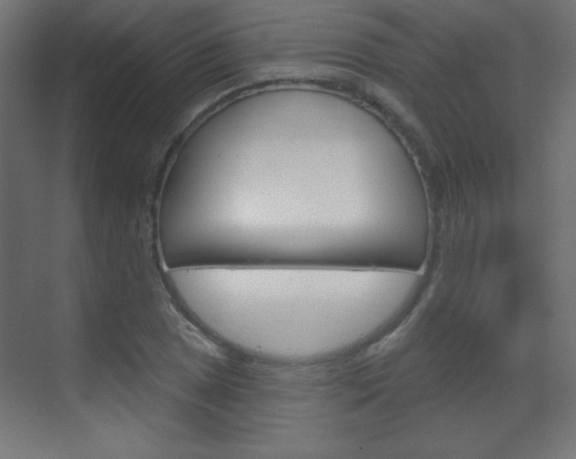 X0000070161025200605260933