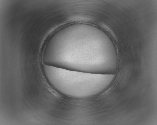 X0000070161027200605260933