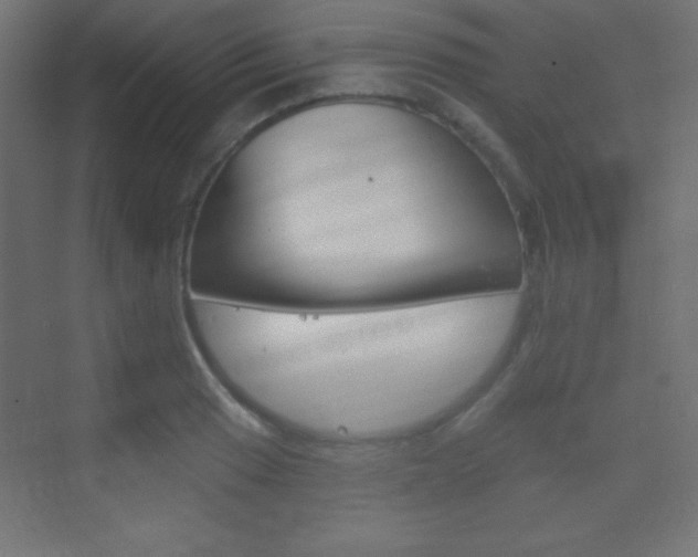 X0000070161033200605260933