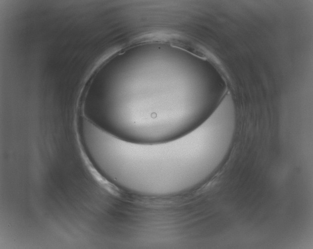 X0000070161042200605260933
