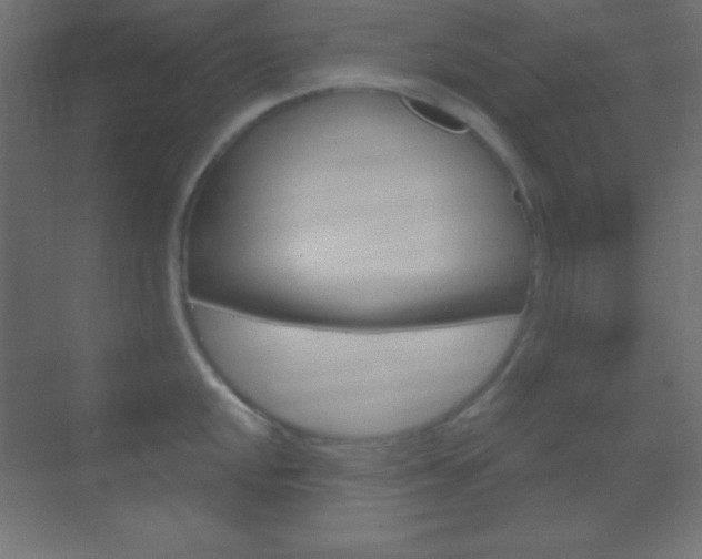 X0000070161048200605260933