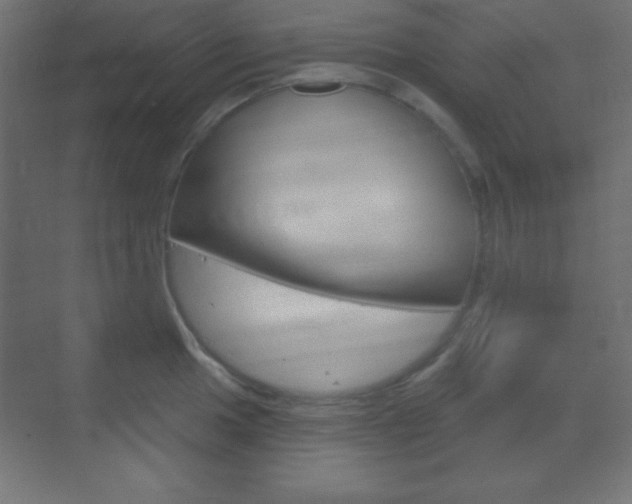 X0000070161049200605260934