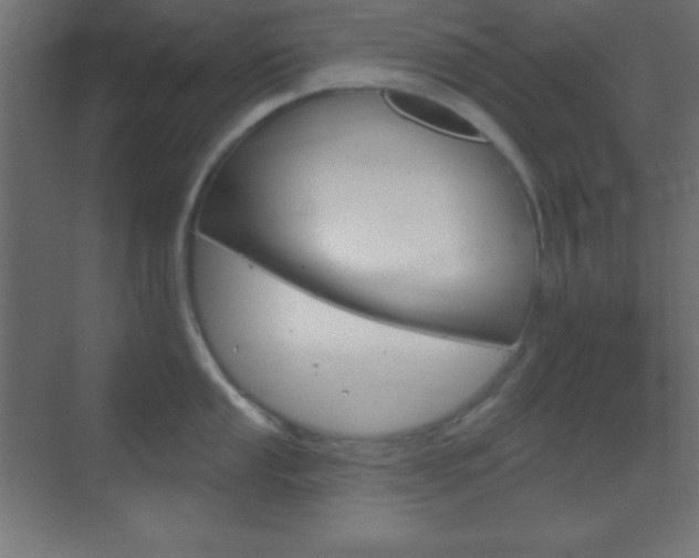 X0000070161053200605260934
