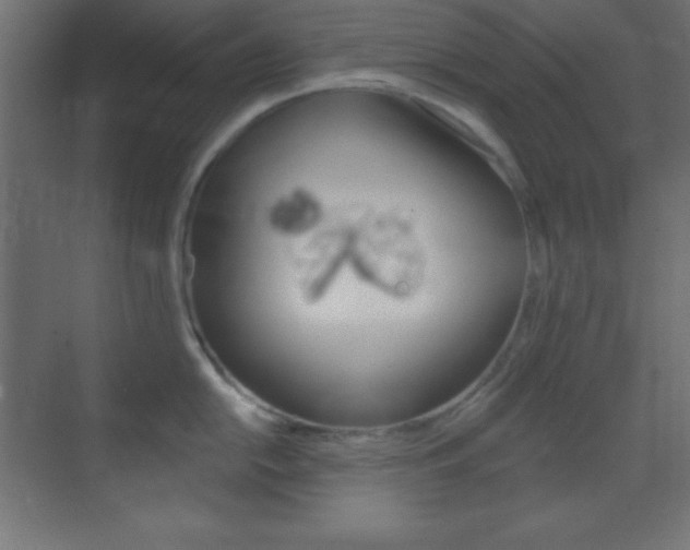 X0000070161054200605260934