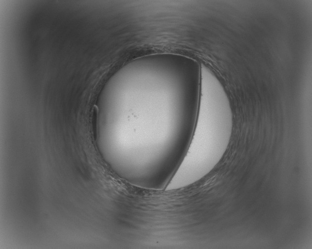 X0000070161057200605260933