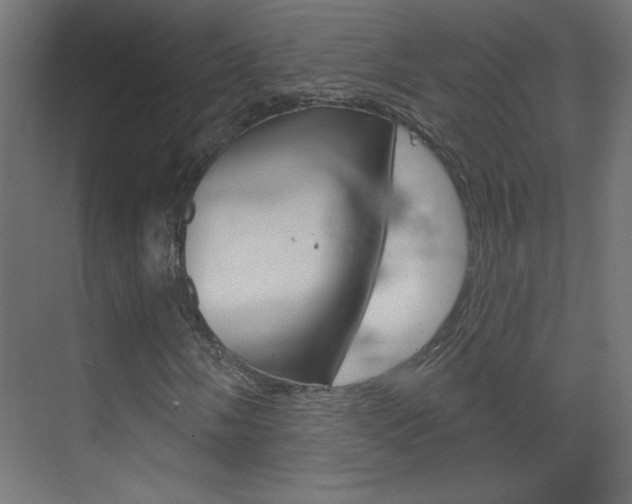 X0000070161058200605260933
