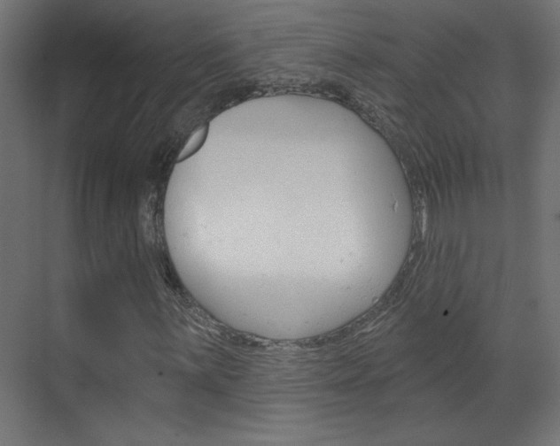 X0000070161059200605260933