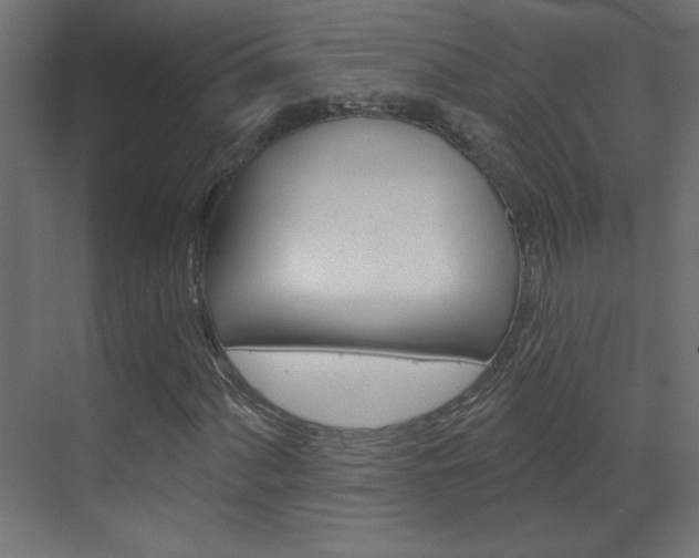 X0000070161060200605260933