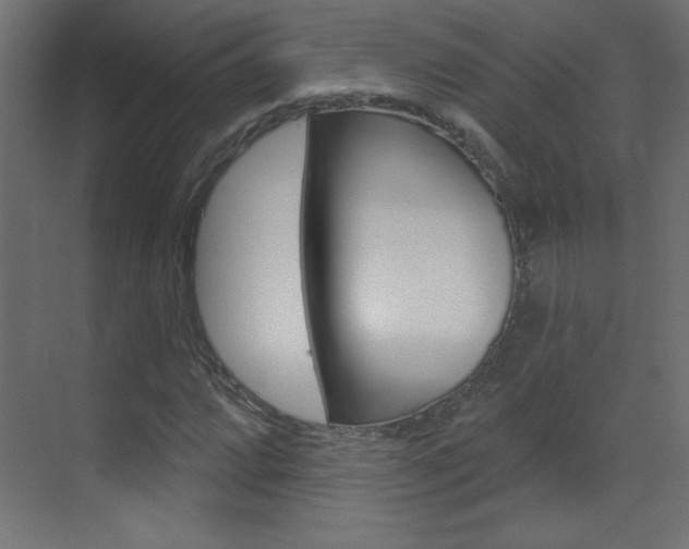 X0000070161064200605260933