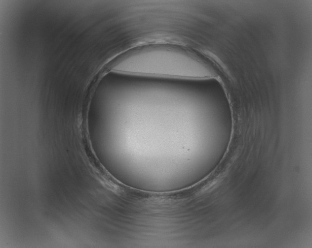 X0000070161065200605260933