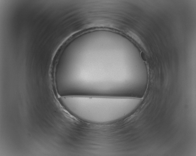 X0000070161068200605260933