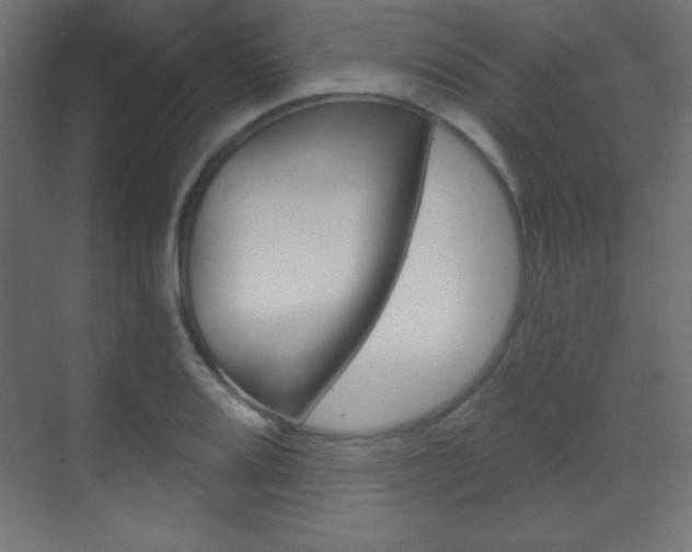X0000070161080200605260932