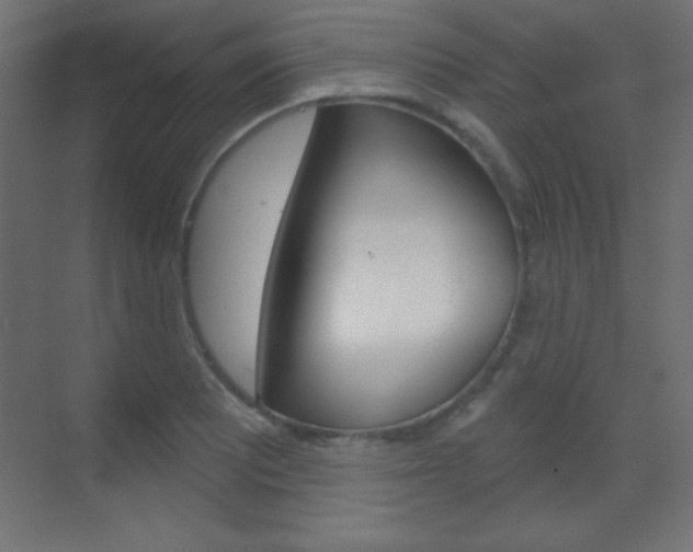 X0000070161081200605260932
