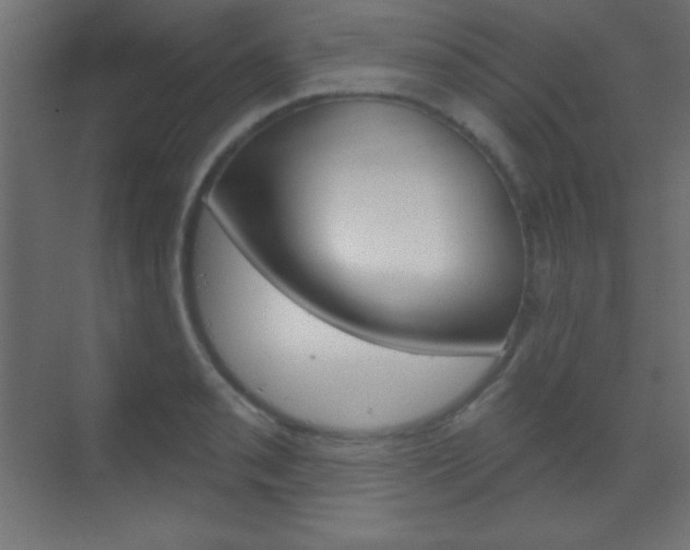 X0000070161085200605260932
