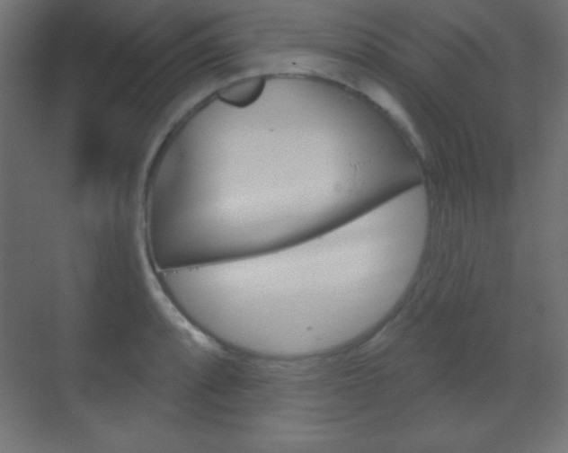 X0000070161088200605260932