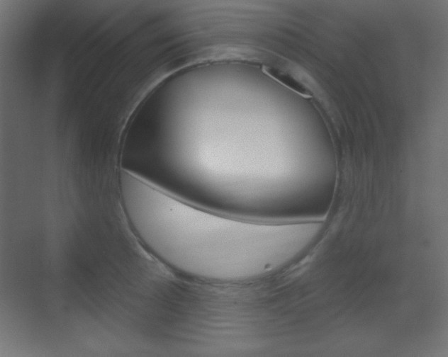 X0000070161089200605260932