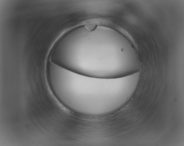 X0000070161091200605260932