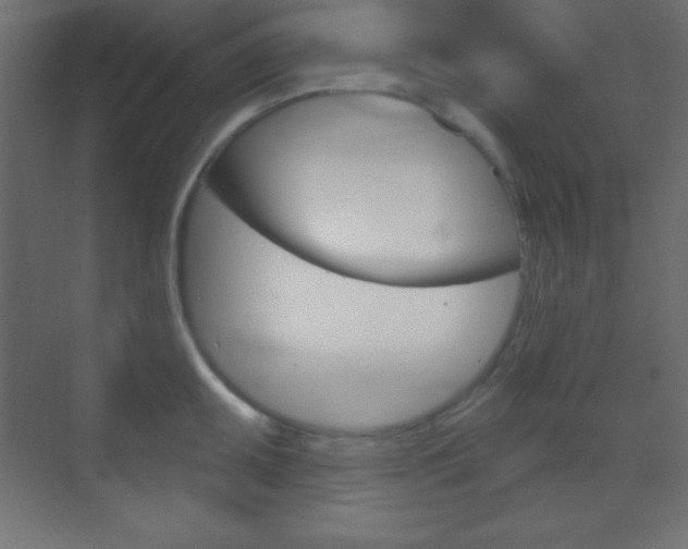 X0000070161095200605260932