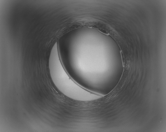 X0000070161108200605260931