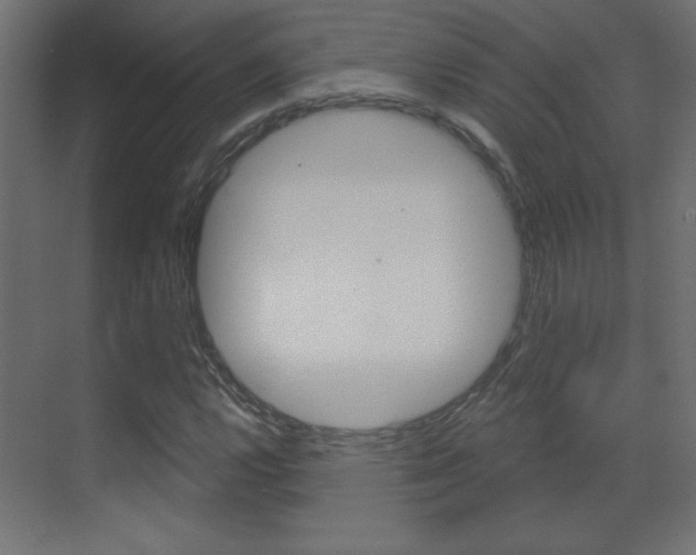 X0000070161112200605260931