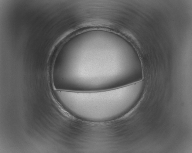 X0000070161114200605260931