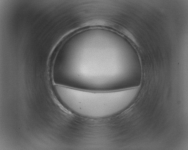 X0000070161116200605260931