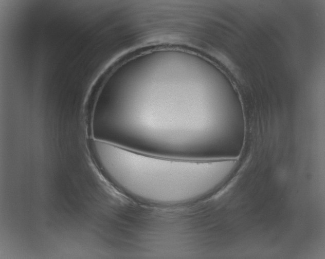 X0000070161118200605260931
