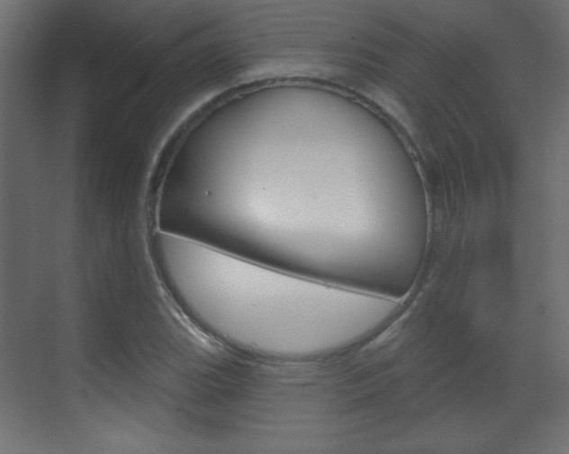 X0000070161119200605260931