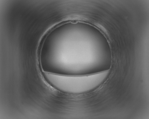 X0000070161120200605260931