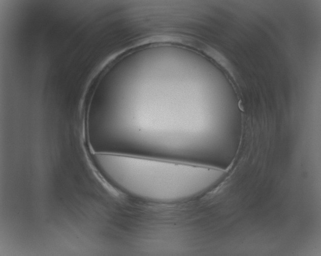 X0000070161127200605260932