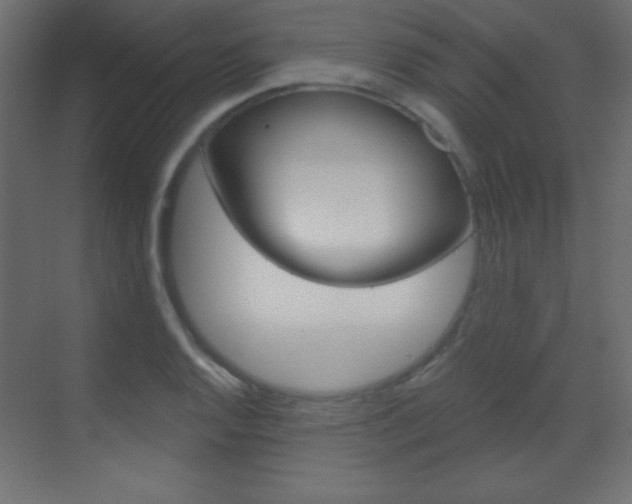 X0000070161128200605260932
