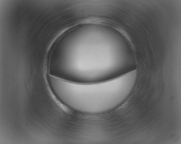 X0000070161131200605260932