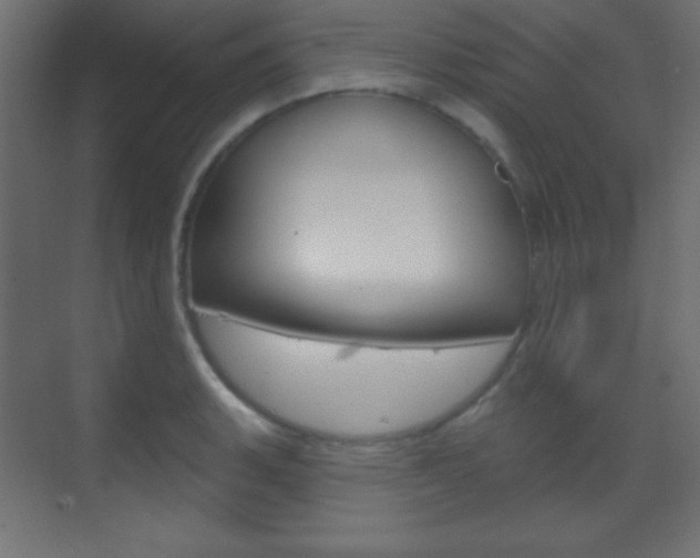 X0000070161135200605260932