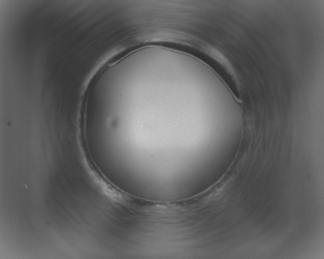X0000070161138200605260932