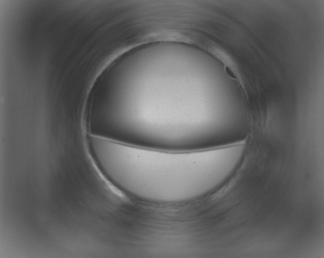 X0000070161141200605260932
