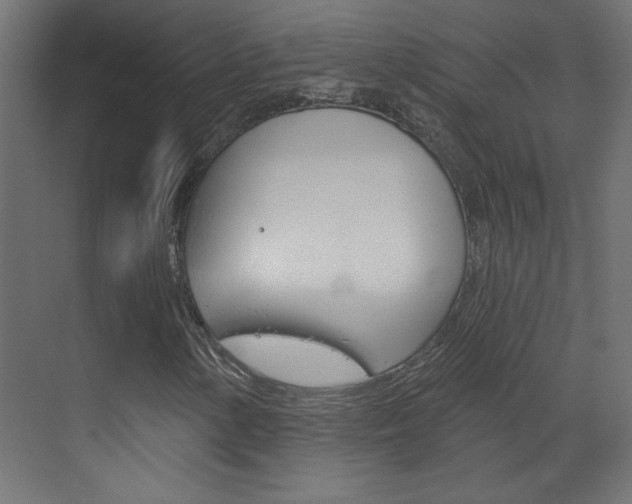X0000070161154200605260931