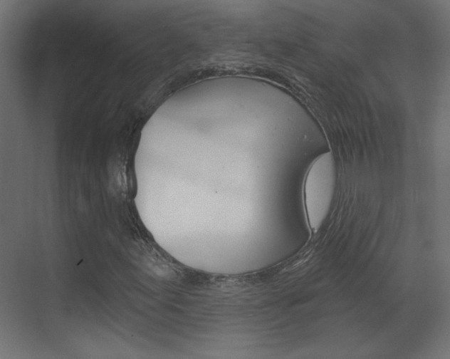 X0000070161155200605260931