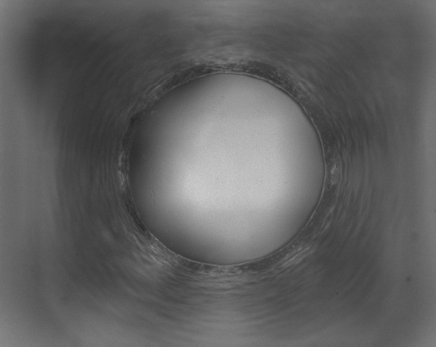 X0000070161156200605260931
