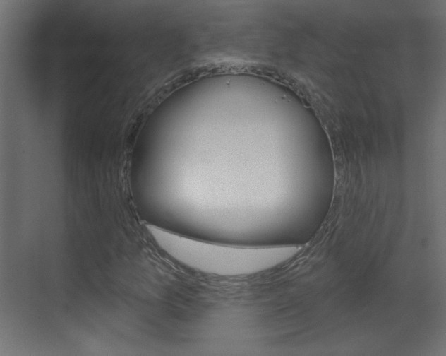 X0000070161157200605260931