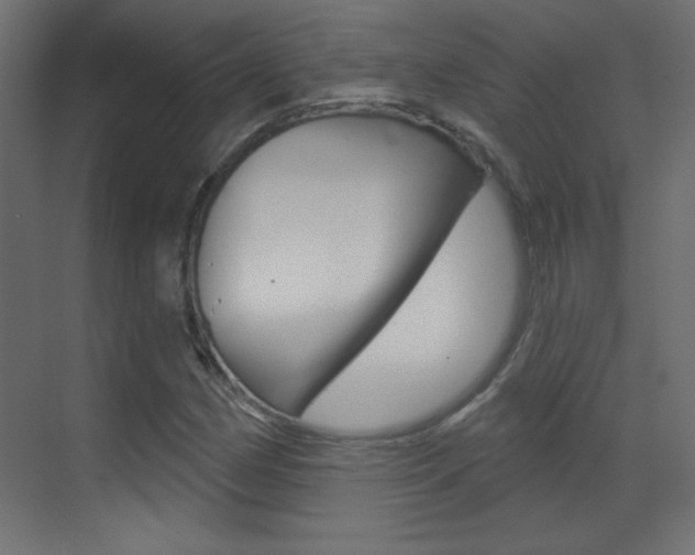 X0000070161162200605260931