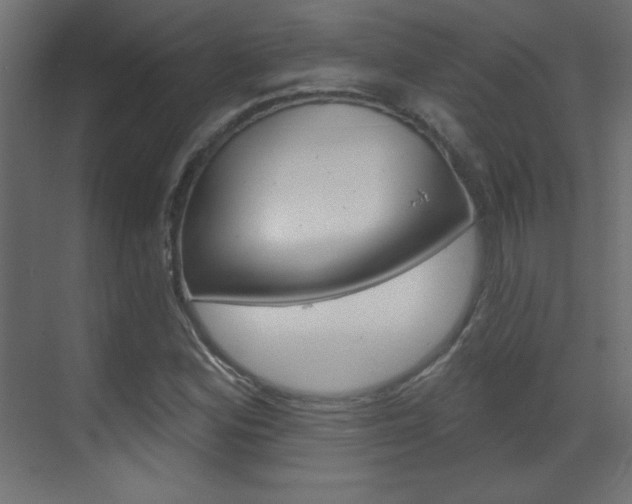 X0000070161164200605260931