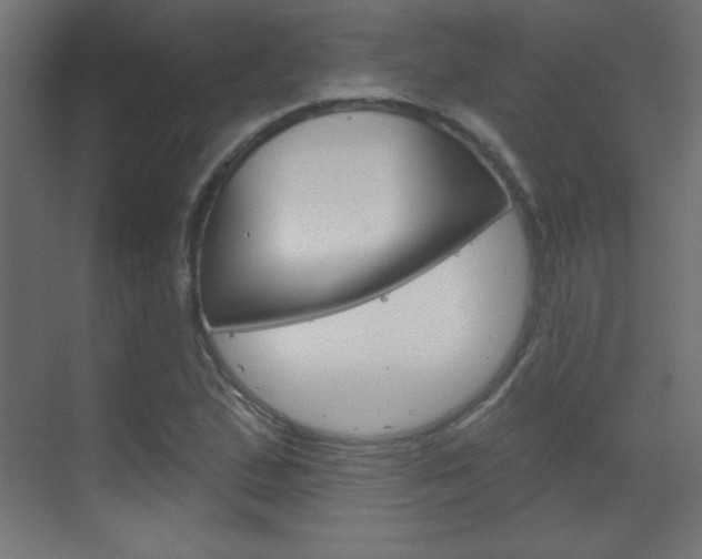 X0000070161167200605260931