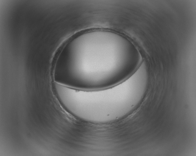 X0000070161168200605260931