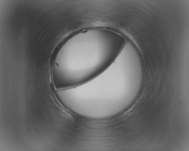 X0000070161171200605260931