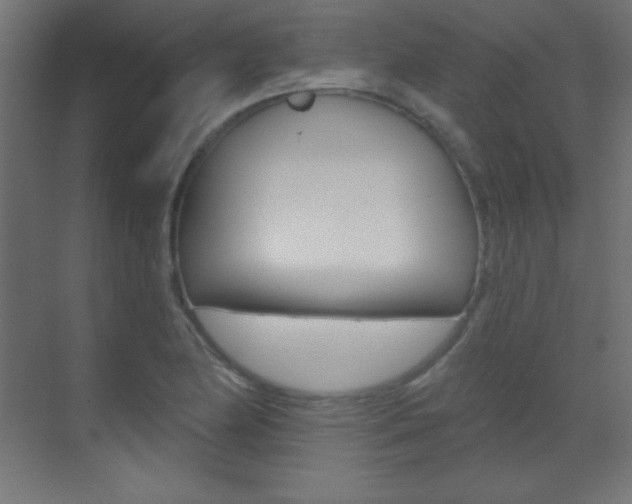 X0000070161174200605260931