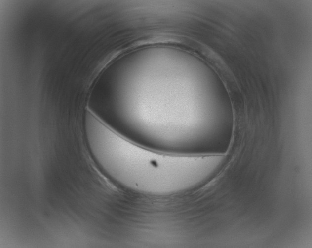 X0000070161177200605260931