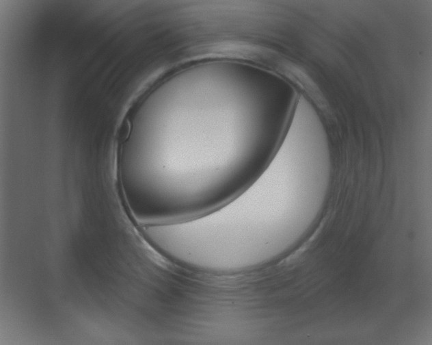 X0000070161180200605260931